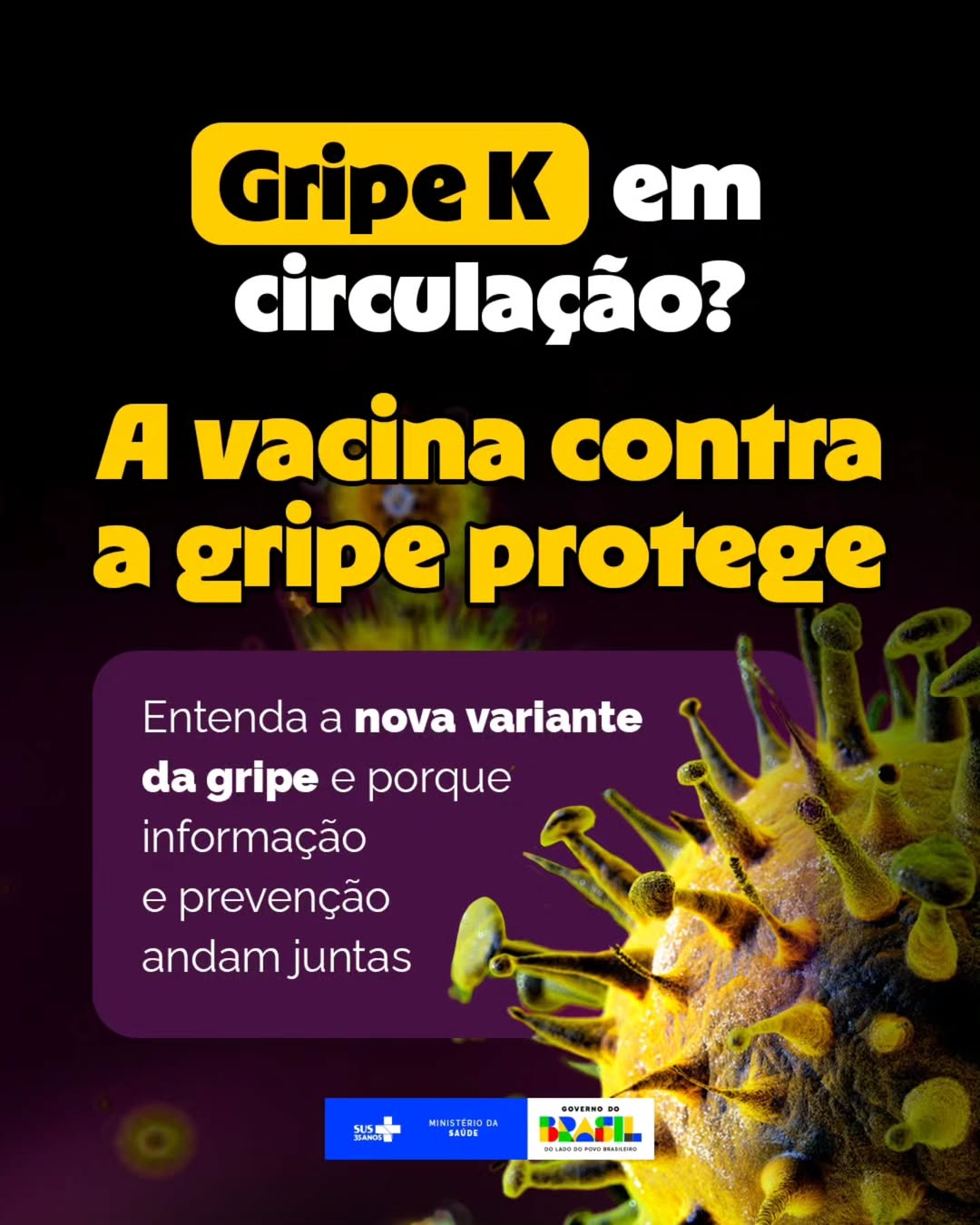 Gripe K: informação protege, vacina também.
